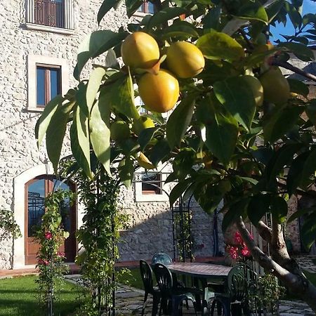 Alloggi Agrituristici Antica Dimora Villa San Demetrio ne' Vestini Exterior photo